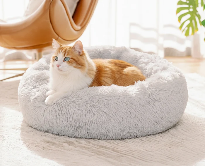 Why Cat Sleep Spaces Matter More in the Age of Indoor Enrichment