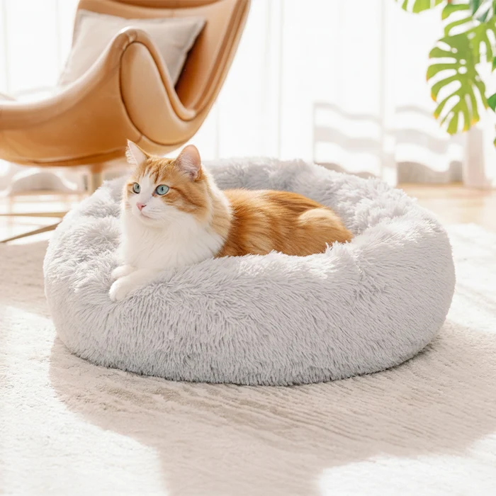 Why Cat Sleep Spaces Matter More in the Age of Indoor Enrichment